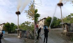 Leylek yuvası yangında  kullanılamaz hale geldi