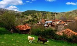 Çorum'un bu köyü koruma altına alındı! İşte nedeni