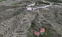 Sungurlu’da mesire tepesi mor renklere bürünecek