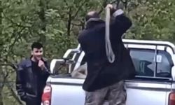 Köpeğe halatla şiddet