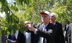 “Bu yaşıma geldim böyle afet görmedim”