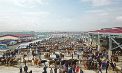 Çorum’da hayvan pazarları  geçici olarak kapatıldı