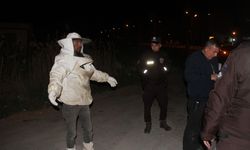 Devrilen kamyonetteki arılar trafik polislerini soktu!