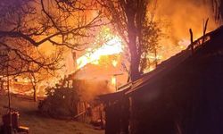 Köyde çıkan yangında 3 ev kül oldu