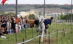 Çorum'da atlar güzellikleriyle yarıştı