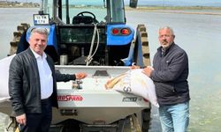 Osmancık’ta yeni sezon  çeltik ekimine başlandı
