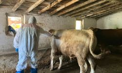 Kurban Bayramı öncesi  denetimler devam ediyor
