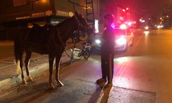 Atla giderken 'alkollü araç  kullanmak'tan ceza yedi