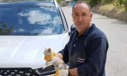 Cipin motor kısmına sıkışan yavru kediyi itfaiye kurtardı