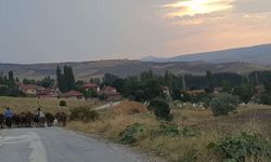 Çorum'un 4 köyünde 1 Haziran'da seçim var! İşte o köyler