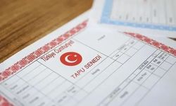 Tapuda bunu yapan şimdi yandı! Bakanlık yüzlerce kişiye tek tek yazı gönderdi…