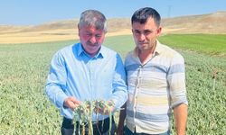 Boyraz: “Çiftçiye sahip çıkılmalıdır”