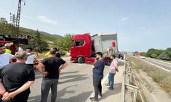 1 arı trafiği kilitledi