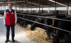 Hayvancılık desteği alacak  4.351 hak sahibi belirlendi