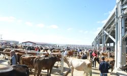 Çorum’da Kurban Bayramı tedbirleri açıklandı