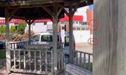 Küçük Sanayi Sitesi'ni keneler bastı