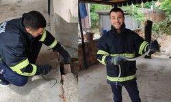 Eve giren yılan itfaiyeyi  seferber etti