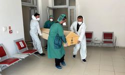 Komşuda kene kabusu! Talihsiz kadın hayatını kaybetti