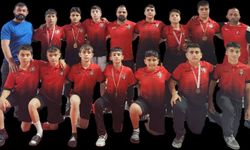 Güreşçilerden 17 madalya daha