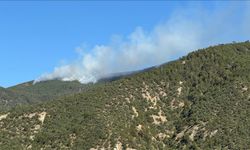 Ilgaz’da çıkan yangın kontrol altına alındı