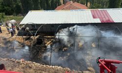 550 balya ot kül oldu