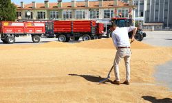Ticaret borsasında yeni sezon başladı: İlk mahsuller satışa sunuldu