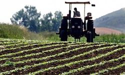 Çiftçiye 345 milyonluk tarımsal destek ödemesi