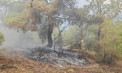 Çorum'da yıldırım düştü