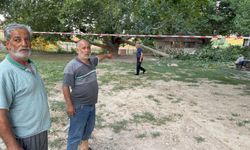 Ağaç dalı vatandaşların üzerine devrildi: 11 yaralı