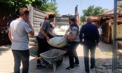 Filistin halkı için buğday topladılar