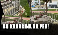 Karpuz yiyip çöpünü kamelyada bıraktılar: "İnsanlığımızdan utandık"