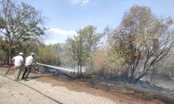 Çorum'da yol kenarına atılan atıklar 6 dekarı kül etti