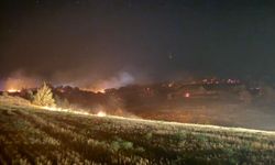 Tarlada çıkan yangın ormana sıçradı