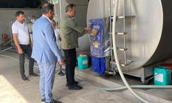 Ceylan'dan Damızlık Birliği'nde inceleme