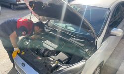 Aracın motor kısmına  giren yavru kedi itfaiye  ekiplerince kurtarıldı