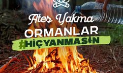 Çorum Valiliği’nden  ormanlar için uyarı