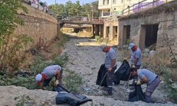 Diğ Çayı temizlendi