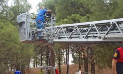 Osmancık Kent Ormanı’na  güneş enerjili aydınlatma