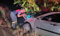 Kontrolden çıkan otomobil ağaca çarptı: 2 yaralı