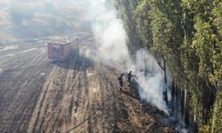 Çorum'da tarlada çıkan yangın kontrol altına alındı, 1 kişi yaralandı