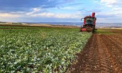 ÇKS başvuruları başlıyor! İşte başvuru tarihi