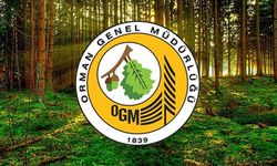 OGM’den 5 yıllık yol haritası