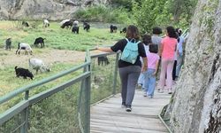 Çocuk Evleri sakini gençler İncesu Kanyonu’nu keşfetti