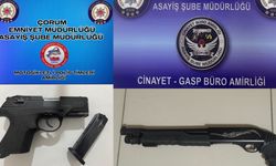 Asayiş operasyonlarında  çok sayıda silah ele geçirildi