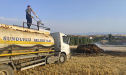 Tarlada çıkan yangında 300 adet balya kül oldu