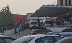 Sahipsiz köpeğin saldırdığı çocuk yaralandı