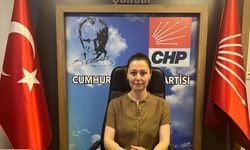 Güngör: “Kadın cinayetleri münferit değil sistematiktir”