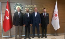 Çorumlu muhtardan örnek girişim
