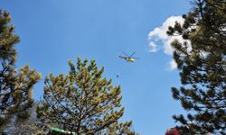 Çorum'daki orman yangınına helikopterle müdahale ediliyor