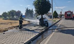 Ağaca çarpan otomobil yandı: 1 yaralı